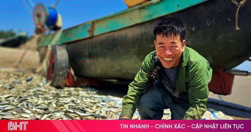 Ngư dân trúng đậm cá trích, thương lái tấp nập thu mua