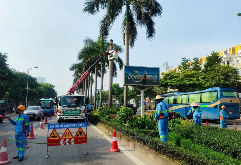 Các đơn vị duy trì cây xanh trên địa bàn thành phố Hà Nội đồng loạt ra quân chỉnh trang đô thị