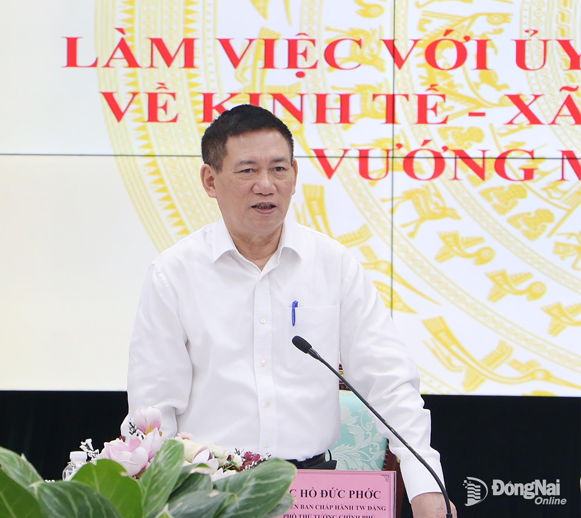 Ủy viên Trung ương Đảng, Phó Thủ tướng Chính phủ Hồ Đức Phớc phát biểu tại buổi làm việc. Ảnh: Phạm Tùng
