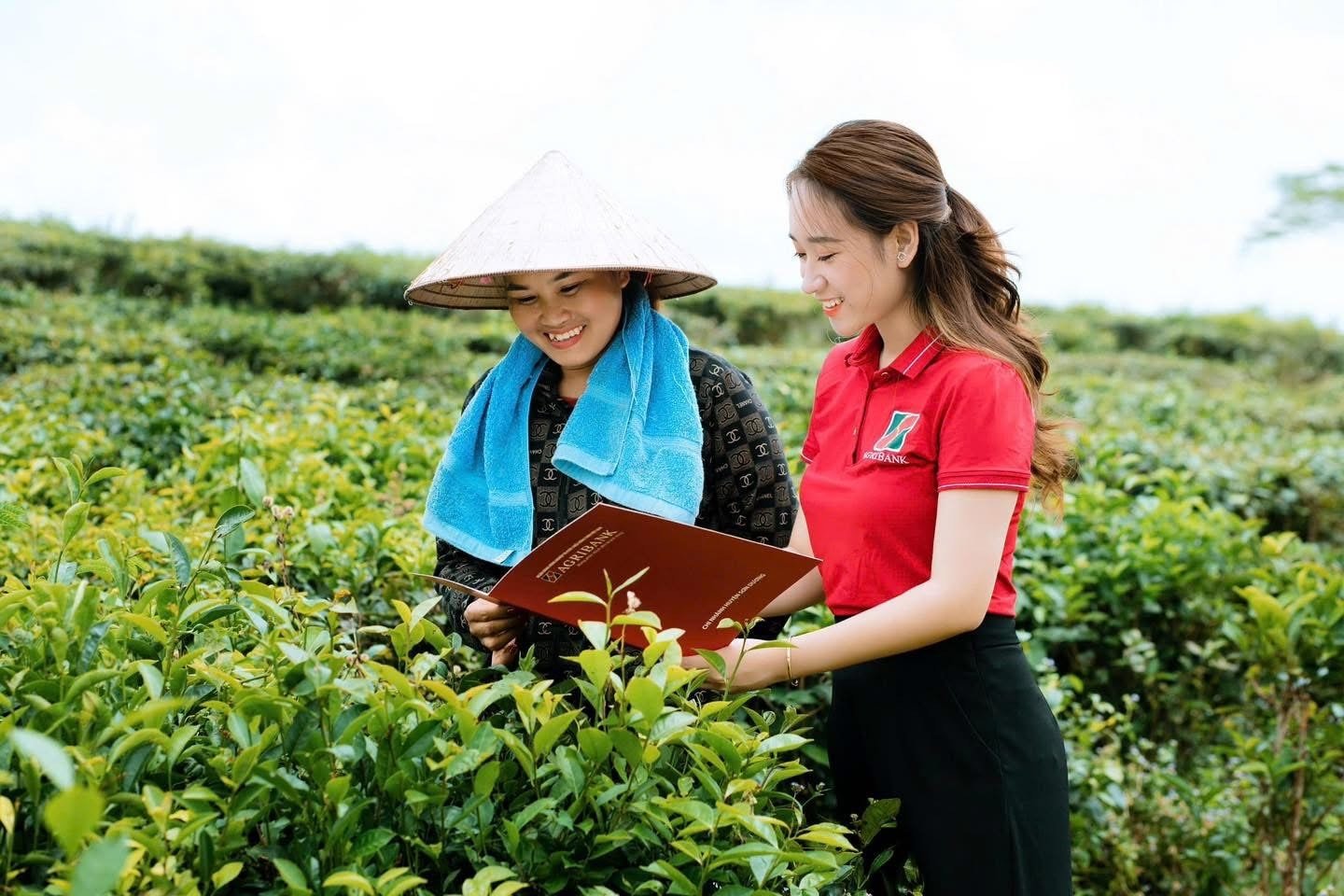 Agribank đồng hành cùng kinh tế tư nhân - Bài cuối: Tiên phong trong lĩnh vực ESG