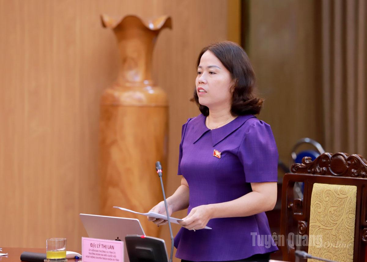 Trưởng đoàn ĐBQH khoá XV tỉnh Tuyên Quang Lý Thị Lan phát biểu thảo luận tại buổi làm việc.
