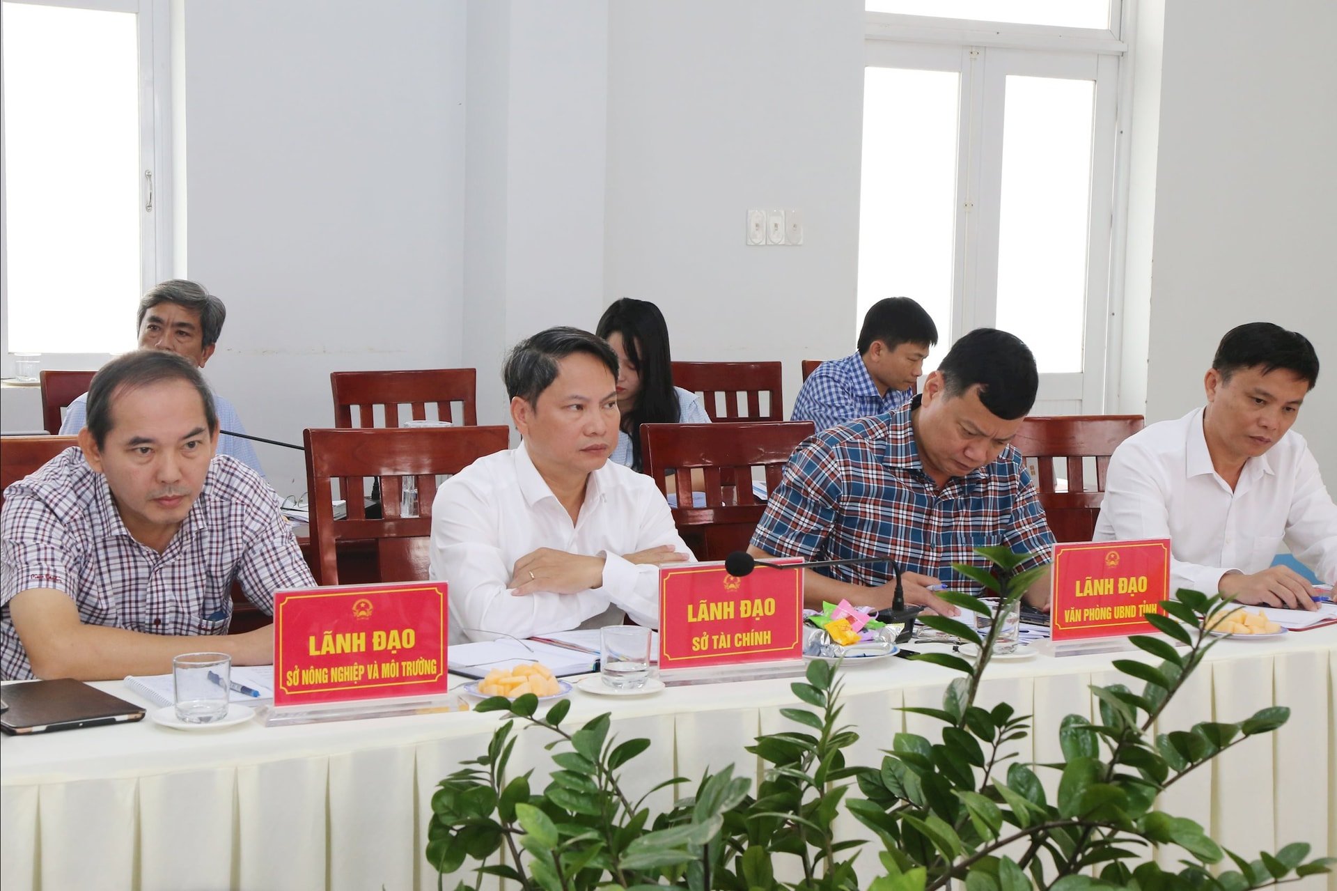 đại diện sở, ngành