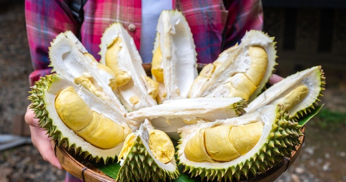 Giá sầu riêng hôm nay 15/8: Musang King rớt mạnh, Thái VIP vẫn giữ đỉnh