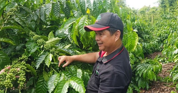 Nestlé Việt Nam thúc đẩy thực hành an toàn vệ sinh lao động trong quản lý rác thải