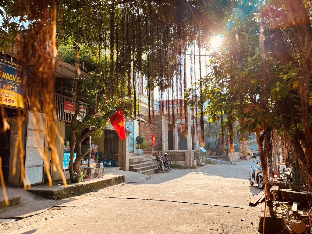 Bình yên làng nổi Kênh Gà - ảnh 9