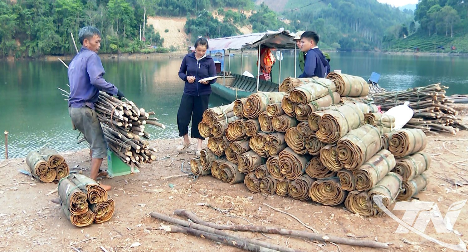Binh Minh: ទិសដៅថ្មីពី cinnamon និងតែ