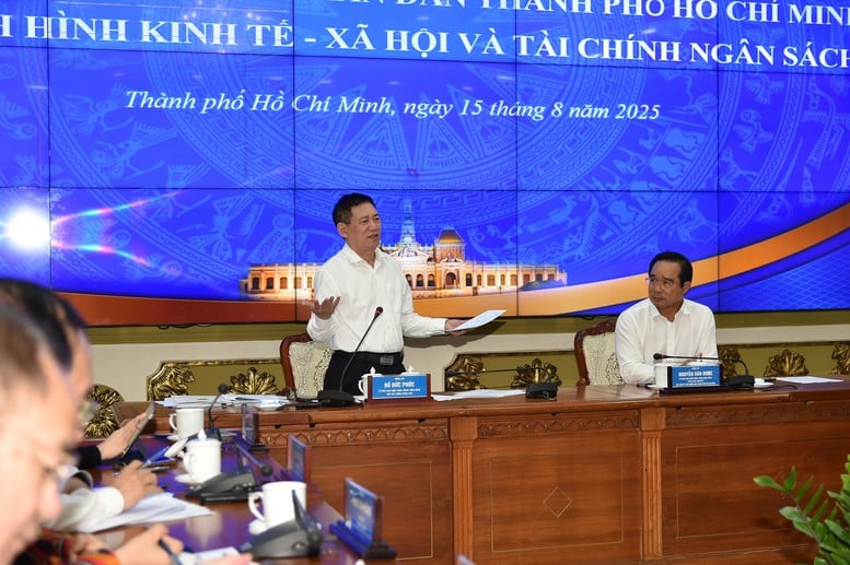 Hỗ trợ thực chất cho 'đầu tàu kinh tế' tăng tốc, phát triển TPHCM xứng tầm siêu đô thị mang tầm vóc quốc tế- Ảnh 2.