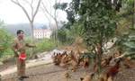 ランソンの退役軍人たちは家禽を育成し、飼育しています。