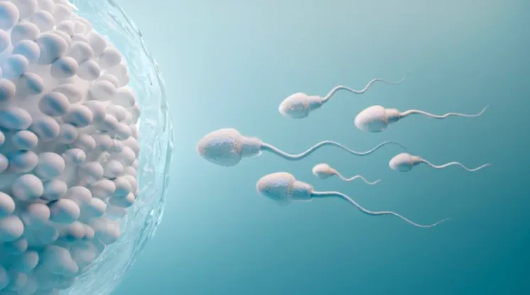 Immagine a scopo illustrativo. Fonte: Shutterstock