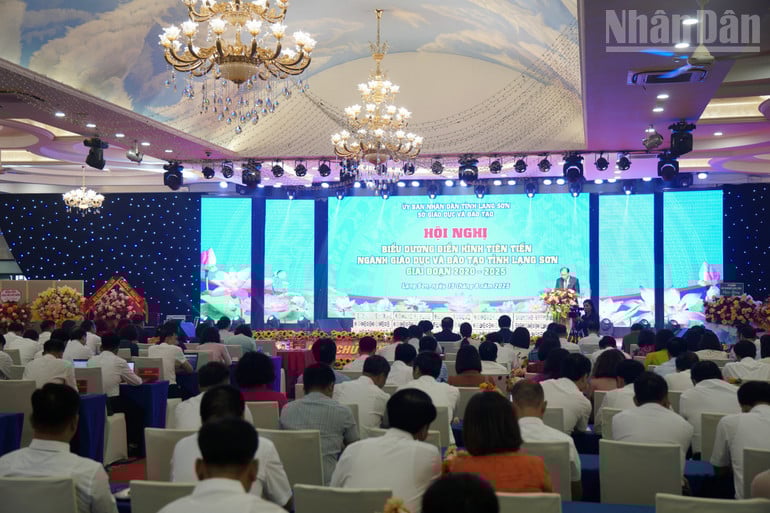 ndo_tr_img-0242.jpg