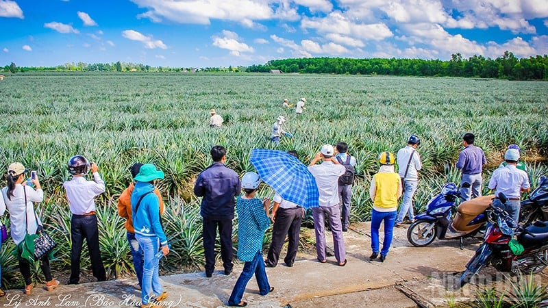 ភ្ញៀវទេសចរណ៍រីករាយទស្សនាភូមិទេសចរណ៍សហគមន៍ Cau Duc។
