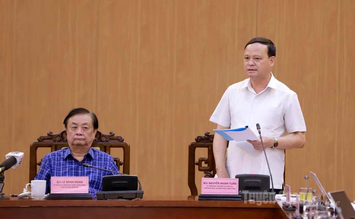 Phó Chủ tịch Thường trực UBND tỉnh Nguyễn Mạnh Tuấn phát biểu tại buổi làm việc.