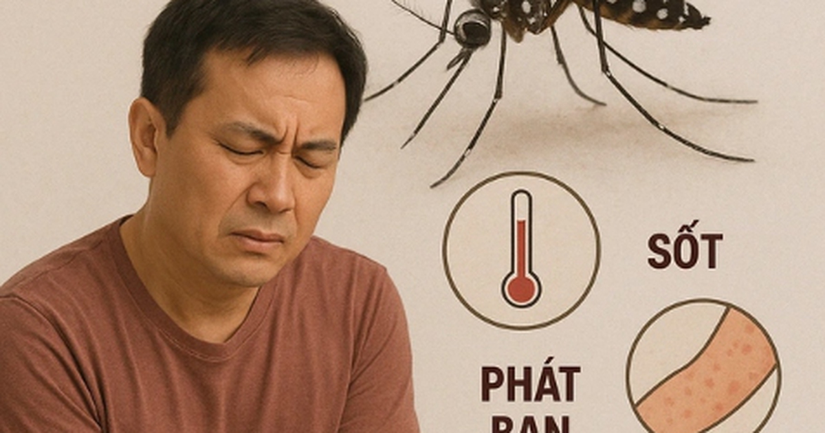 WHO khuyến cáo về nguy cơ bệnh chikungunya với Việt Nam