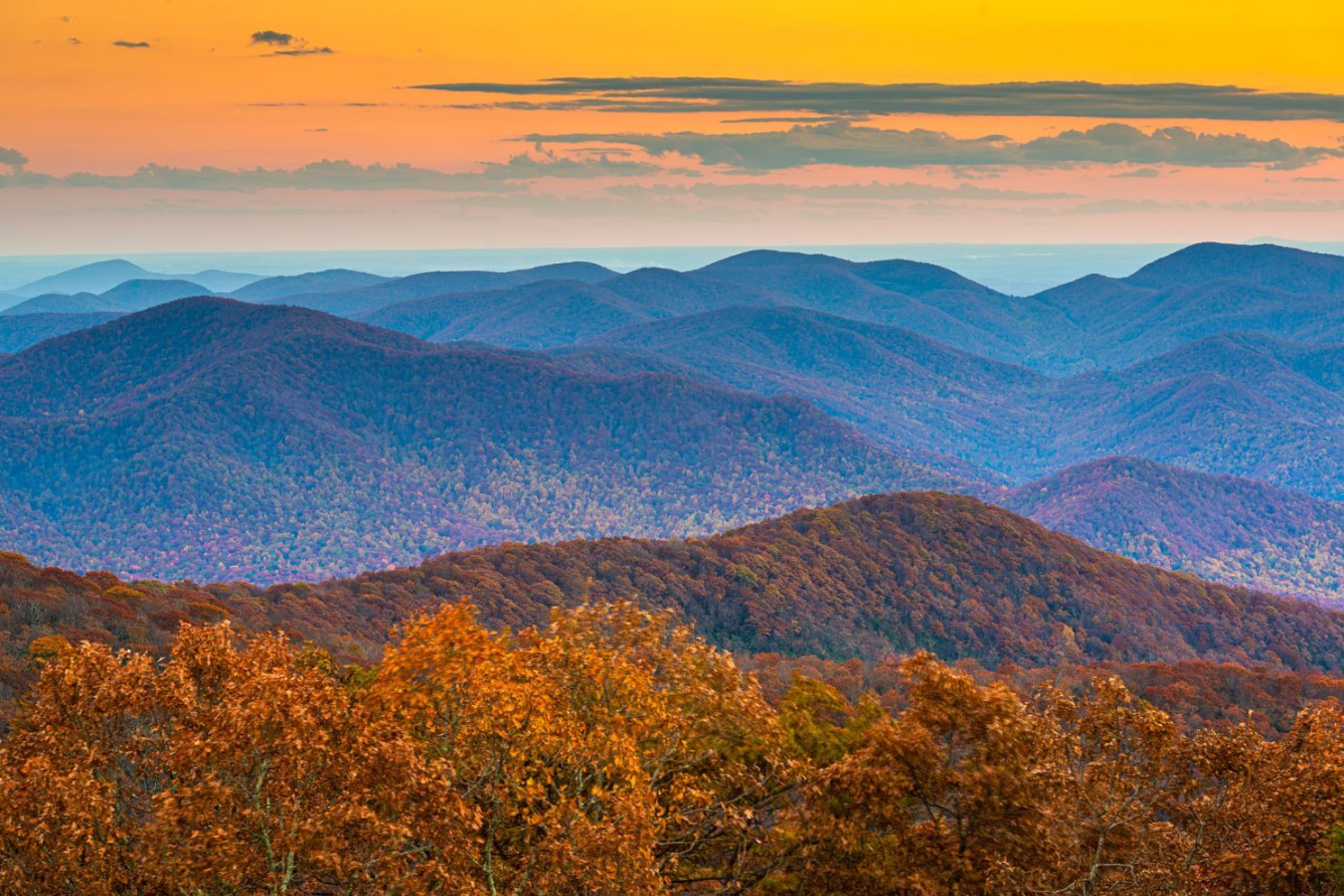 Khám phá đường mòn Appalachian Trail: Chuyến phiêu lưu hòa mình vào thiên nhiên