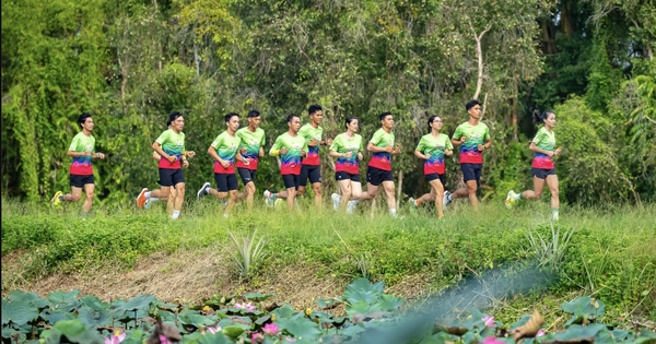 12.000 vận động viên tham gia VPBank Đất Sen Hồng Music Marathon 2025