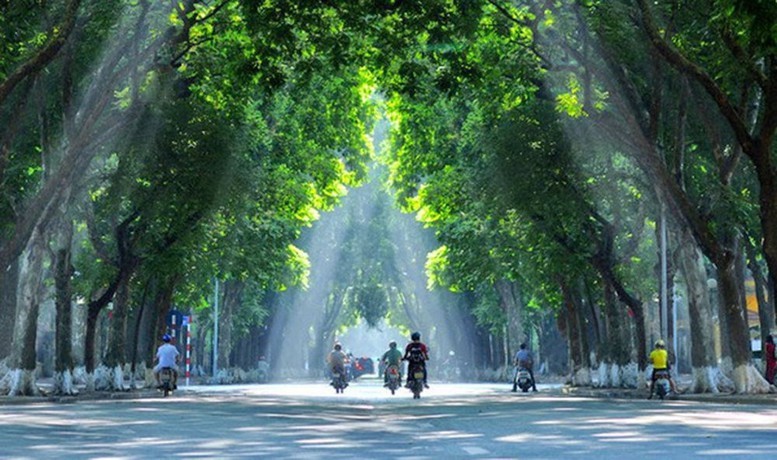 Môi trường xanh, không gian xanh đang là những thước đo hàng đầu của chất lượng cuộc sống