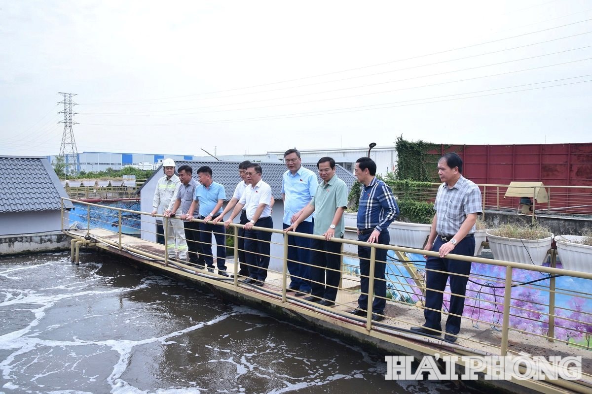 The National Assembly's monitoring delegation supervises at Nam Cau Kien Industrial Park on the morning of August 5, 2025. Photo: Trung Kien.