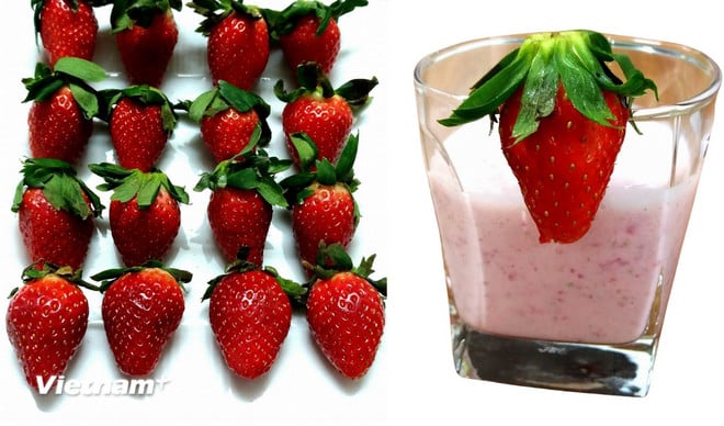 vnp-dau-tay.png