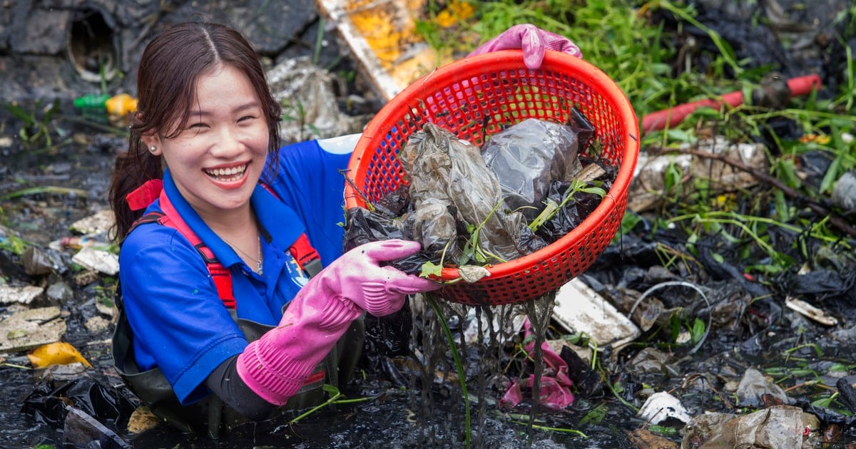 Thanh niên tình nguyện Mùa hè xanh