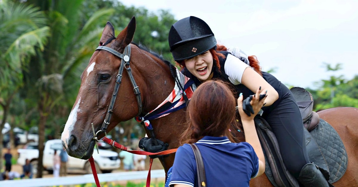 Exciting 2025 Cross Country Equestrian Championship