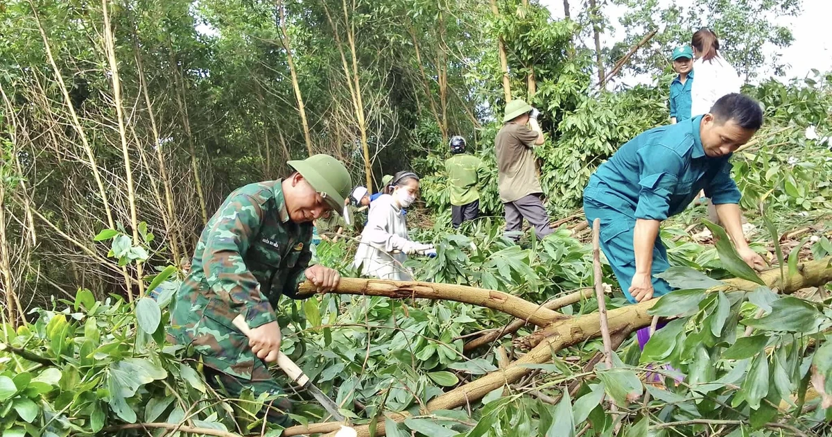 Luc Yen: មនុស្សជាង 300 នាក់ជួយប្រជាជនសម្អាតច្រករបៀងដើម្បីពន្លឿនដំណើរការសាងសង់ខ្សែបណ្តាញថាមពល 500Kv