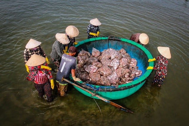 Scopri la cultura del villaggio di pescatori di Mui Ne: una destinazione costiera unica - Foto 10.