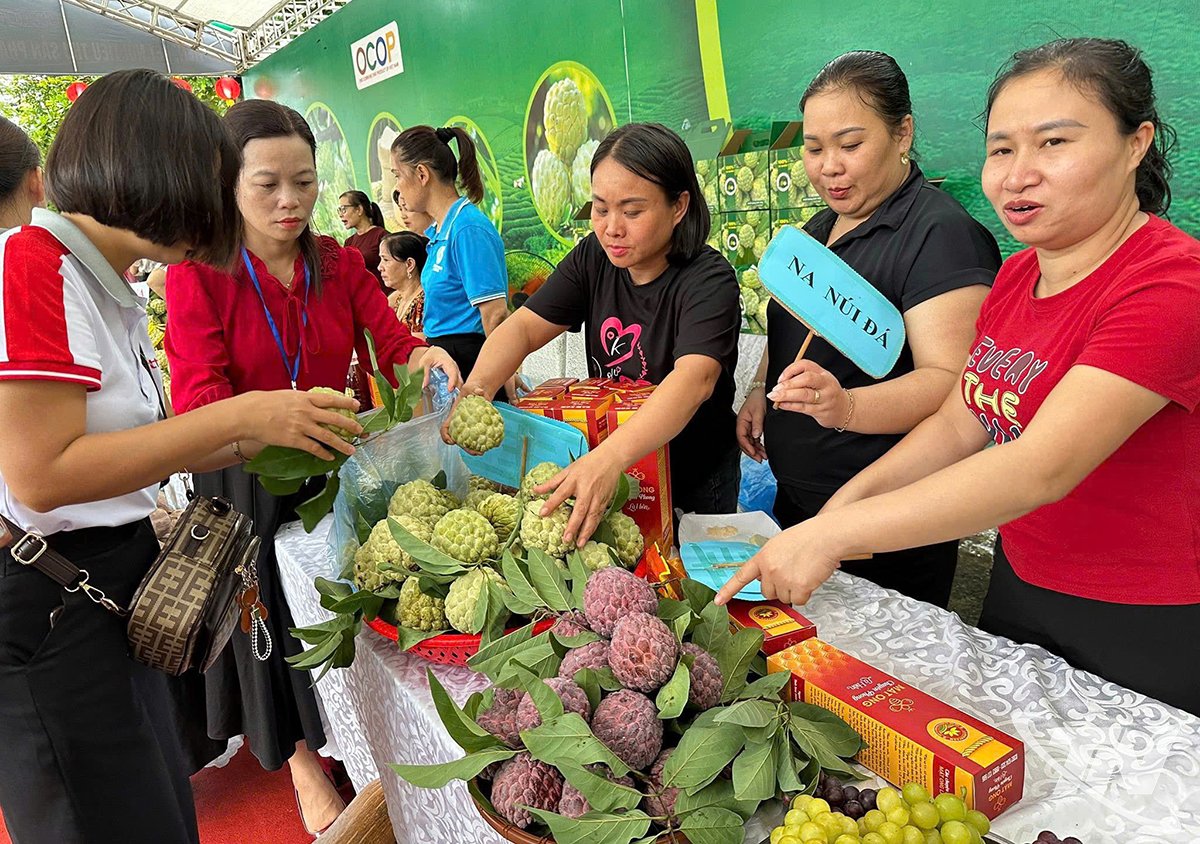Le programme Livestream contribue à promouvoir la pomme cannelle Thai Nguyen en particulier et les produits agricoles de la province en général.