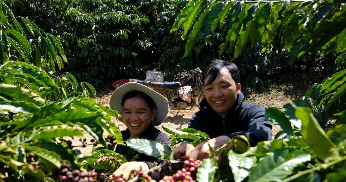 Phát triển bền vững vùng đồng bào DTTS và miền núi