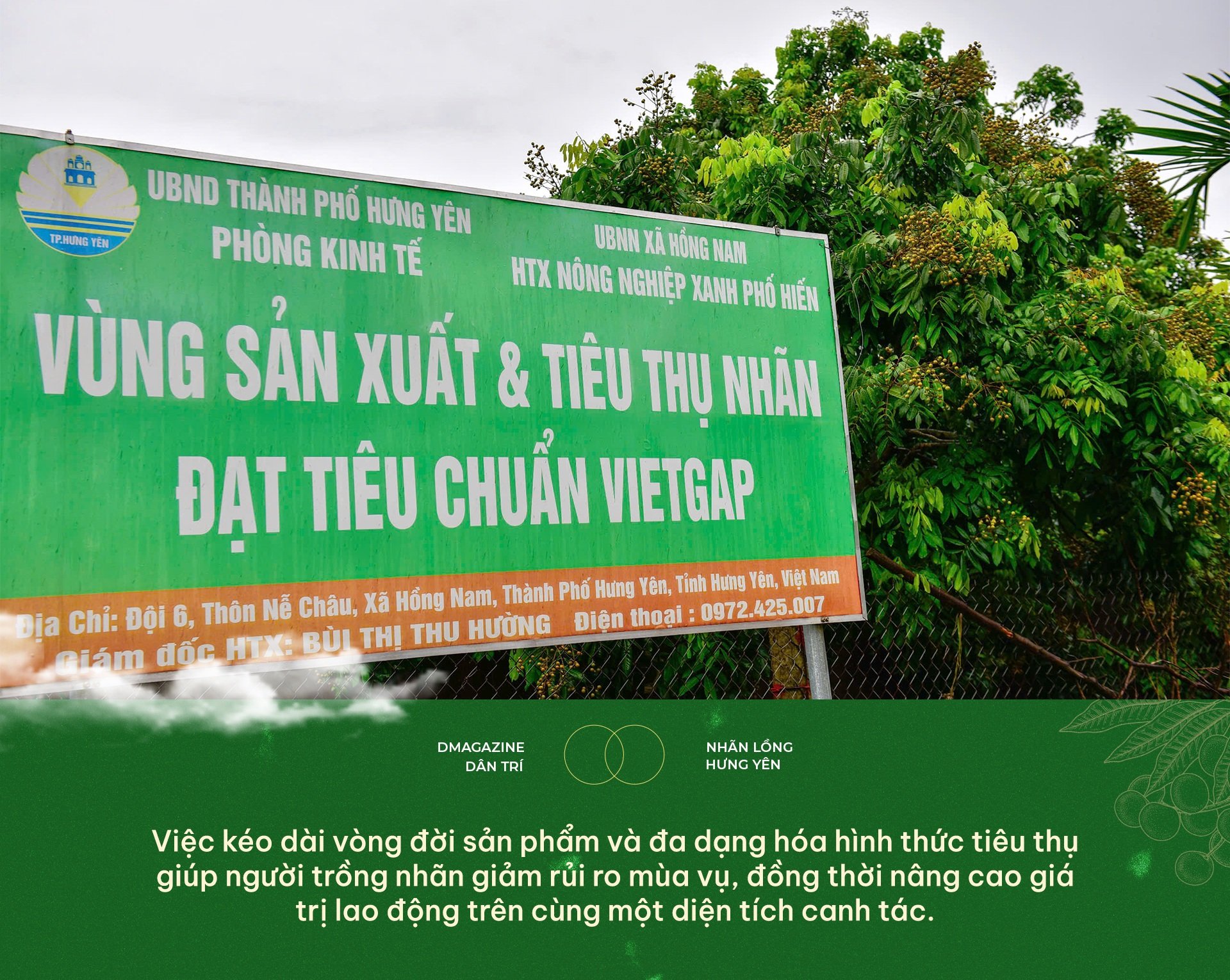 30 năm “giữ gen, định danh điện tử” đưa quả tiến vua vươn ra thế giới - 19