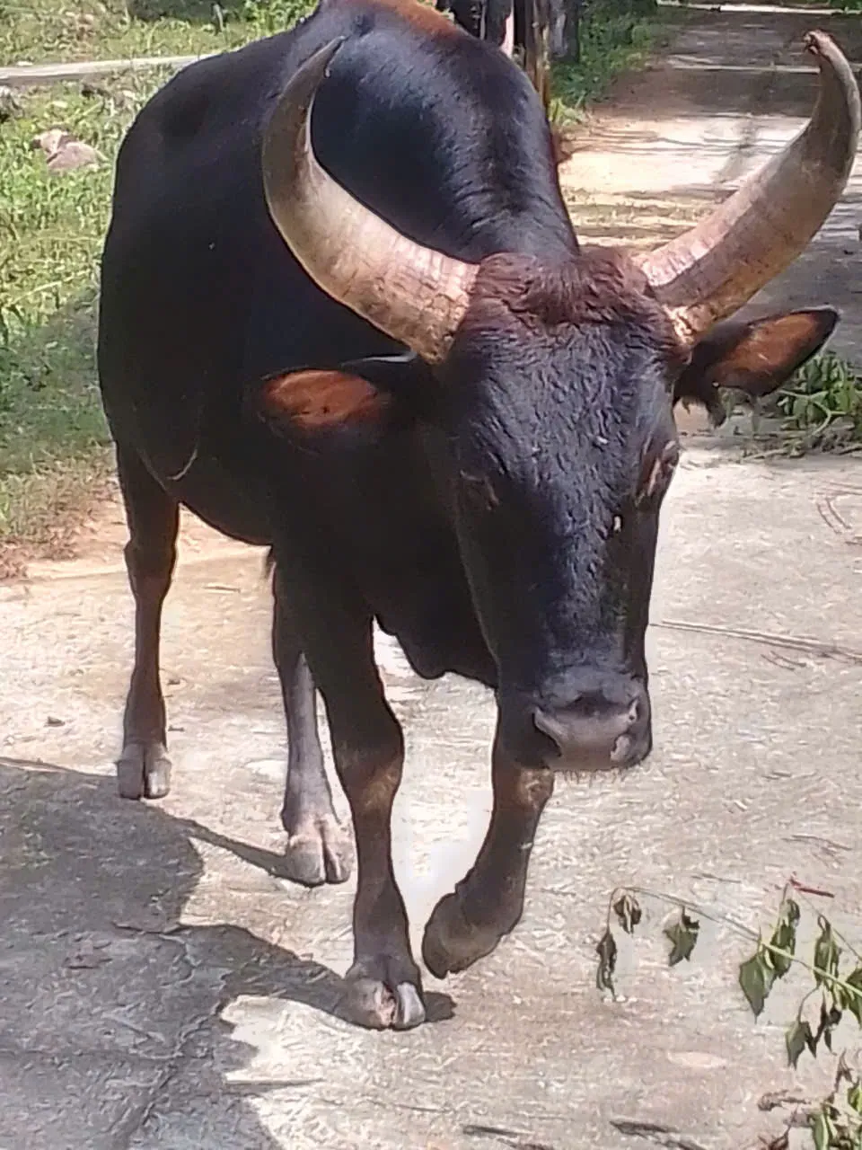 z6913574659436_15504e5ac8e67099452b6c6aafaac8f4.jpg