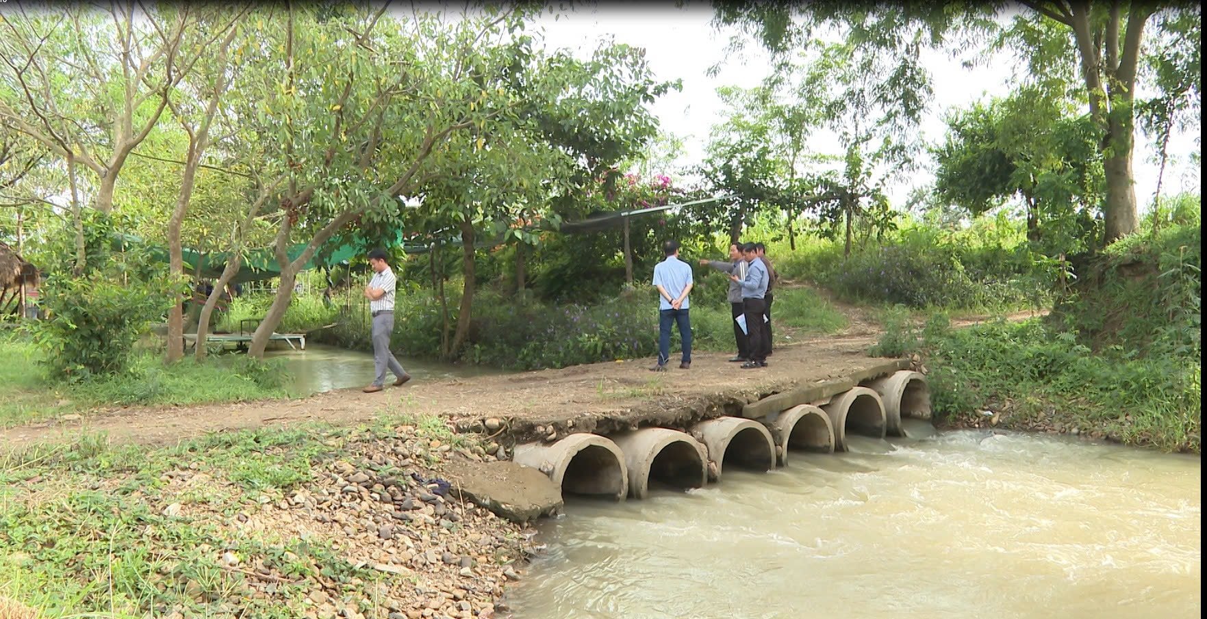 Đoàn kiểm tra