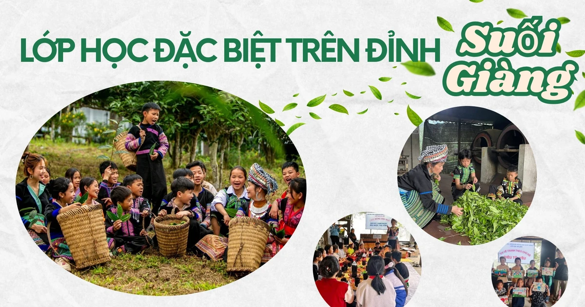 ថ្នាក់ពិសេសនៅលើកំពូលនៃ Suoi Giang