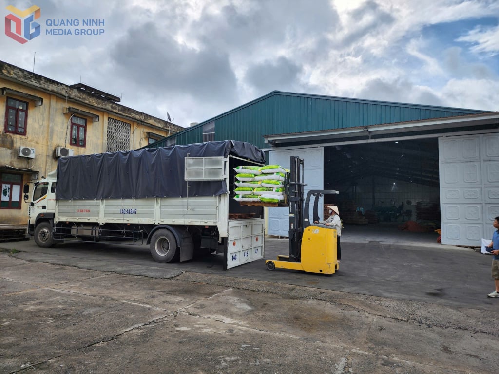 Công ty CP giống cây trồng Quảng Ninh sử dụng thiết bị cơ giới trong khâu bốc xếp hàng hoá.