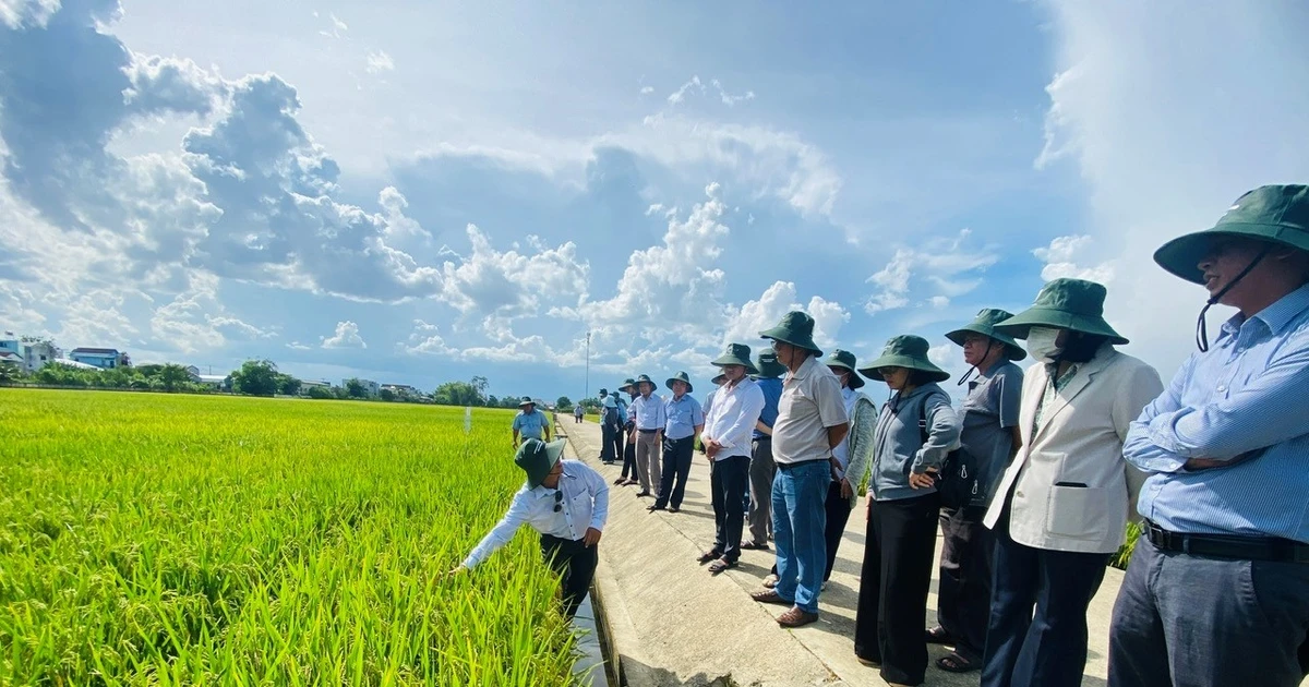 การสำรวจพันธุ์ข้าวและถั่วลิสงบางพันธุ์และพื้นที่แปรรูปเมล็ดพันธุ์