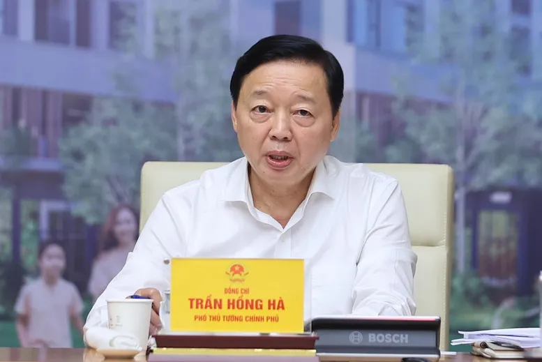 phothutuong_tranhongha.jpg