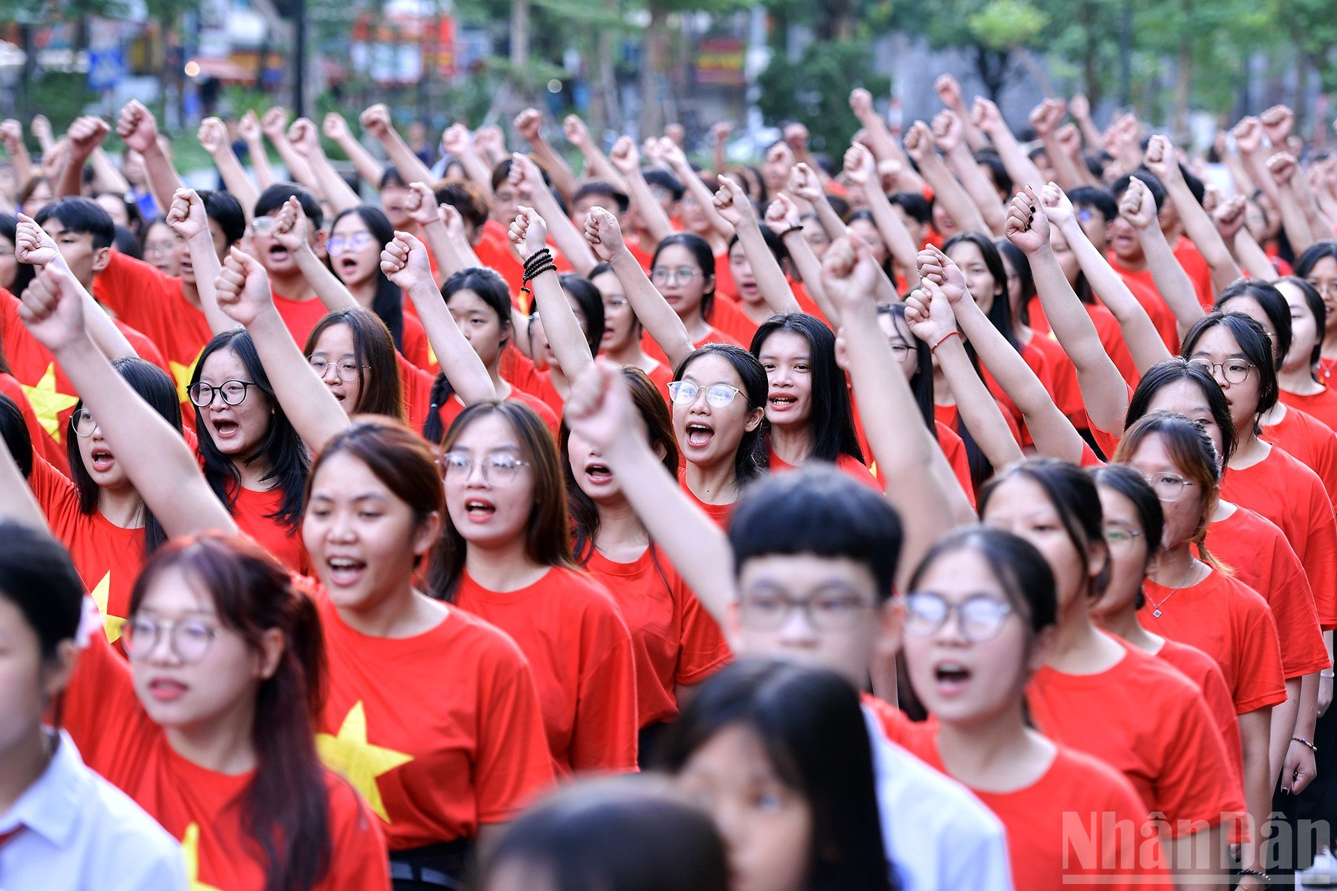 ndo_br_miu-5164.jpg
