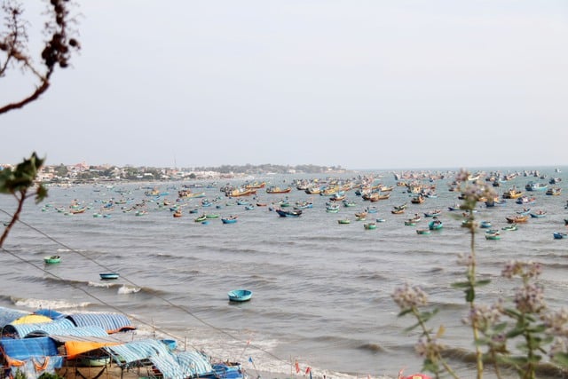 Scopri la cultura del villaggio di pescatori di Mui Ne: una destinazione costiera unica - Foto 5.