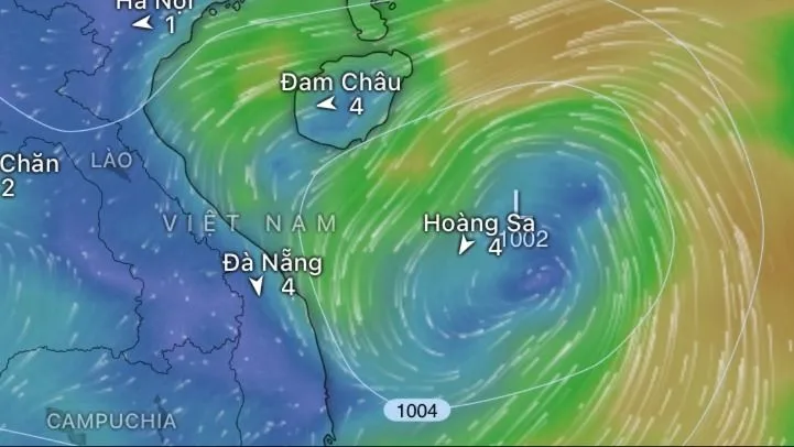 Ministry of Agriculture and Environment proposes response to tropical depression
