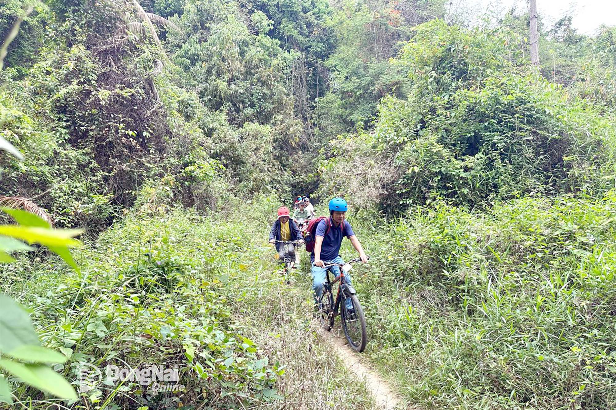 Đạp xe xuyên rừng Gia Canh, hoạt động không thể bỏ qua khi tham gia trải nghiệm sản phẩm du lịch OCOP Khám phá Gia Canh. Ảnh: Ngọc Liên