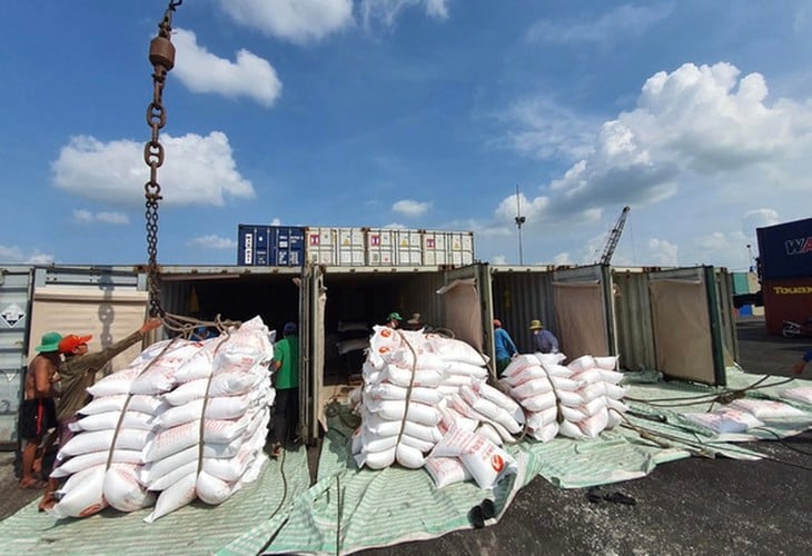 Philippines tạm ngưng nhập khẩu gạo: Doanh nghiệp cần lưu ý gì? - Ảnh 1.