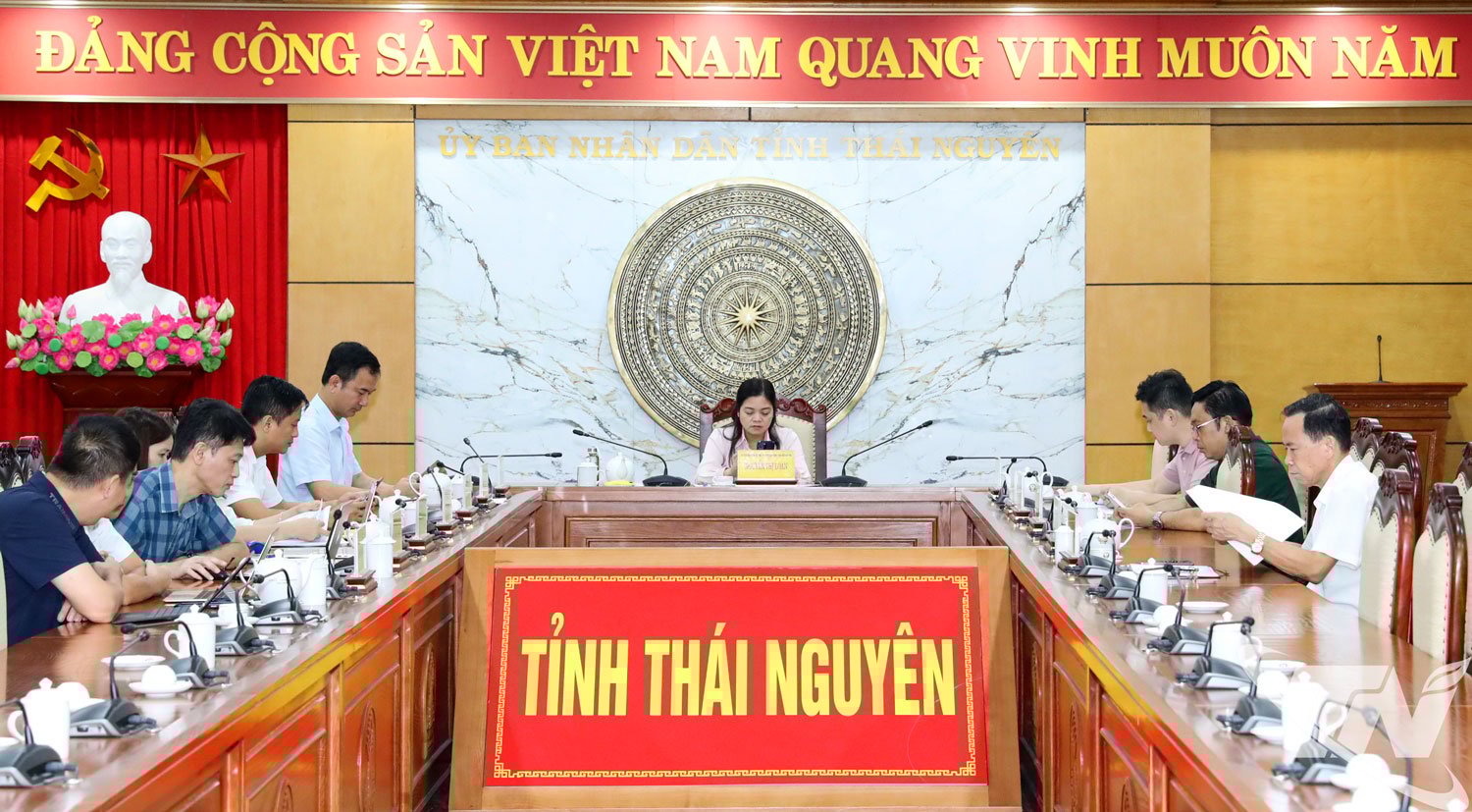 អនុប្រធាន