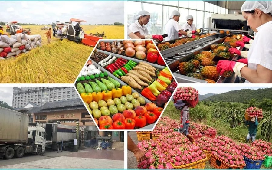 xuat,khau,nong,san,trung,quoc,16732489840321949154733,66416189404169564190054,17175516.jpg