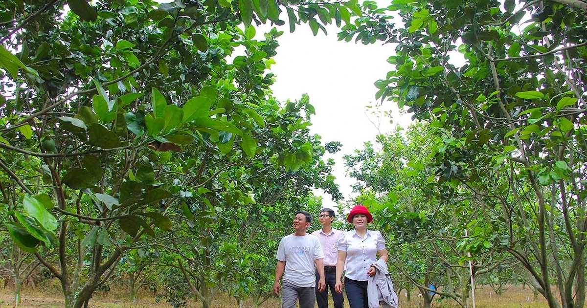 Aspiration for new rural development, sustainable development