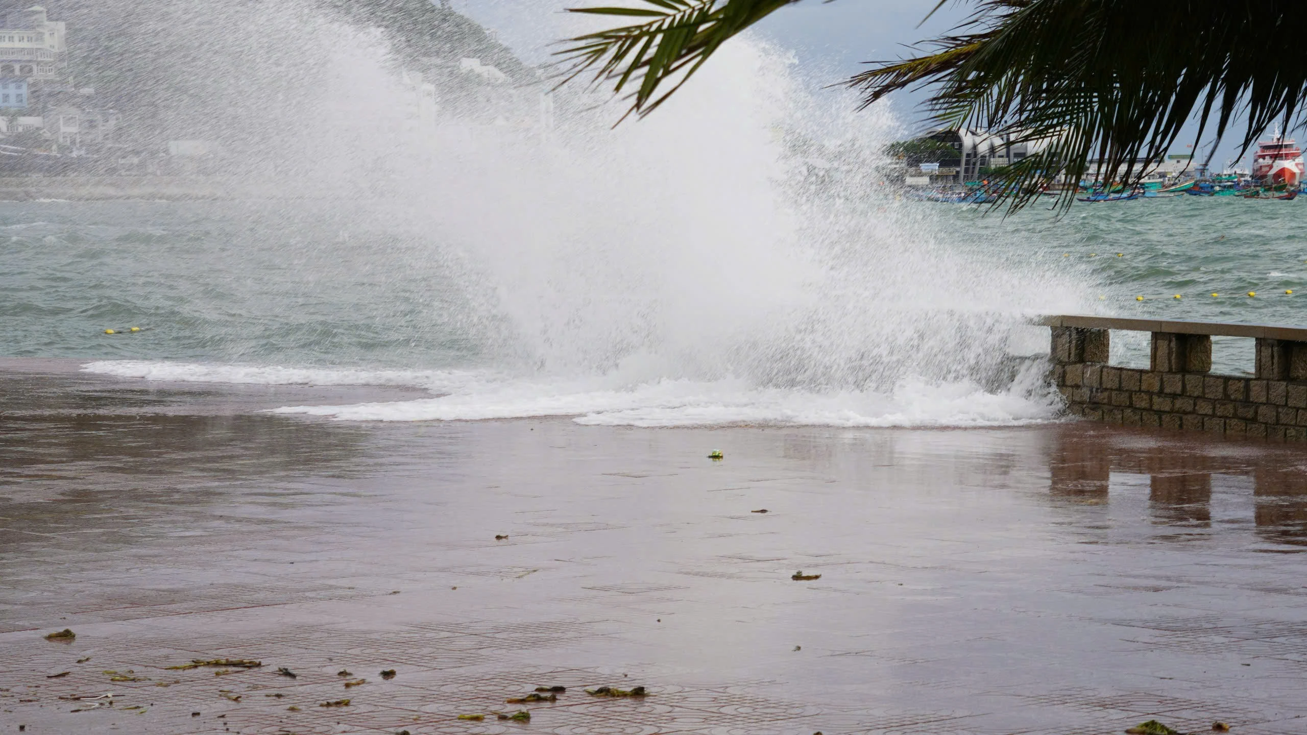 Strengthen propaganda and update information on weather and natural disasters.