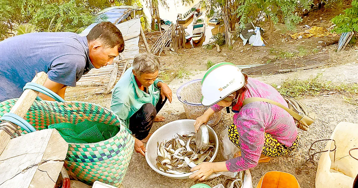 Đón lộc vàng mùa nước nổi