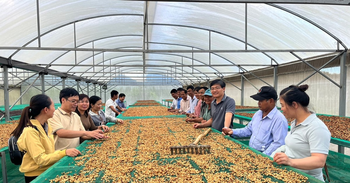 Bước đi mới ở Công viên Địa chất toàn cầu