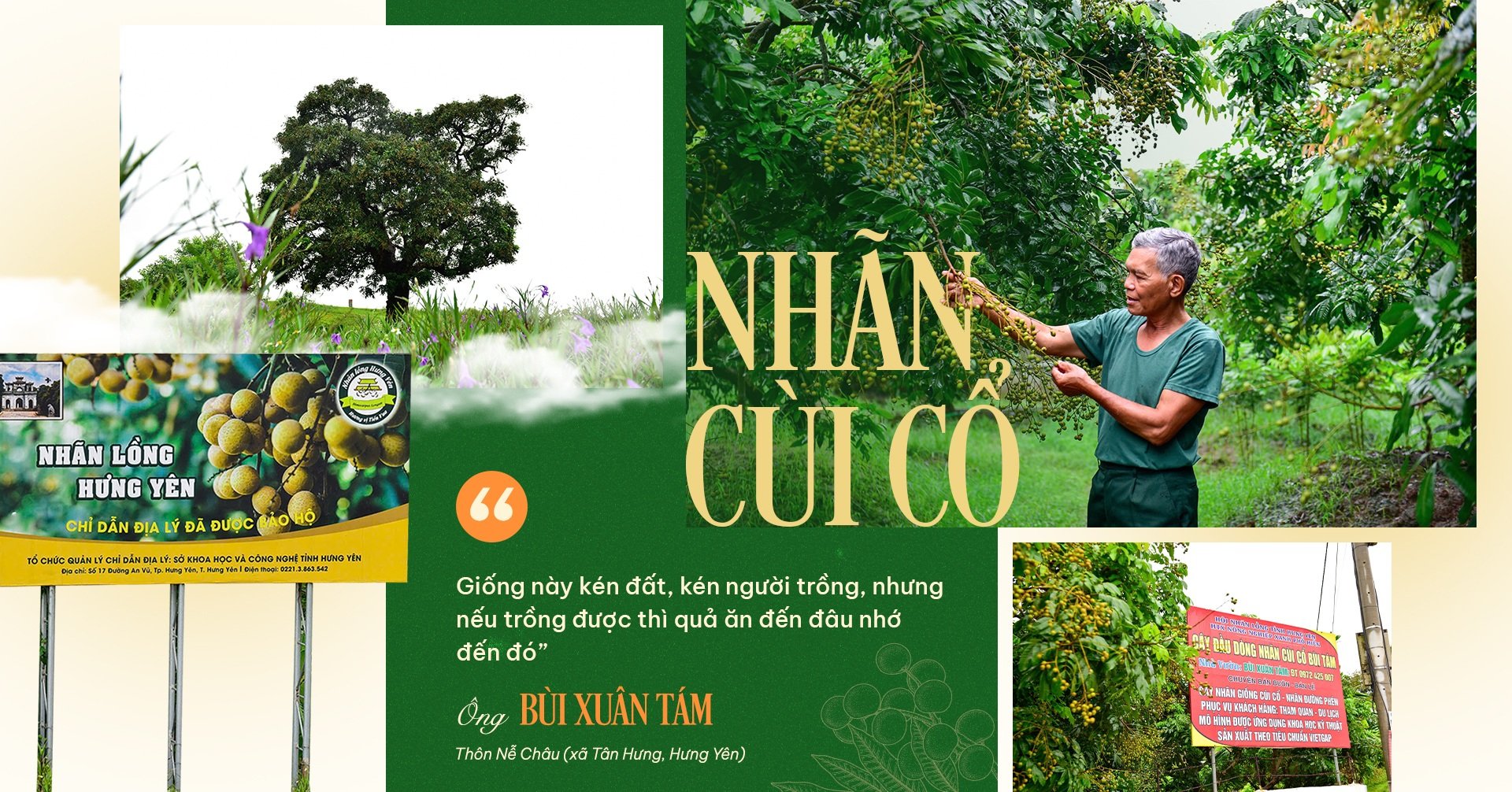 30 năm “giữ gen, định danh điện tử” đưa quả tiến vua vươn ra thế giới - 7