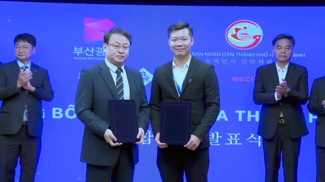 Nâng tầm hợp tác TP.HCM - Busan, mở rộng chuỗi giá trị toàn cầu - Ảnh 2.