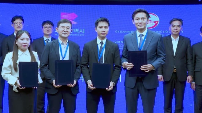 Nâng tầm hợp tác TP.HCM - Busan, mở rộng chuỗi giá trị toàn cầu - Ảnh 3.