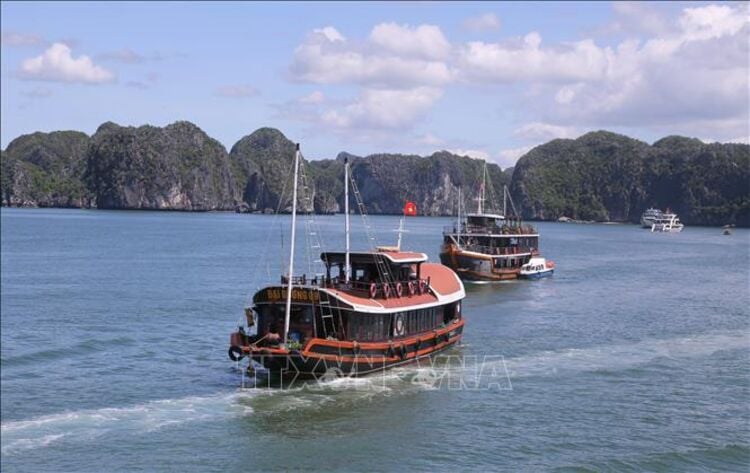 Điểm nhấn thu hút du khách đến Cát Bà